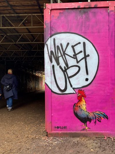 A colourful rooster with a large speech bubble reading "Wake up!" painted on a pink hoarding panel beside a dark underpass; signed "Horace".