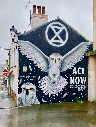 Two snowy owls, an Extinction Rebellion symbol, and the words "Act Now" alongside snowy owl population statistics, painted across a building end with a black background; signed "@spraygatz".