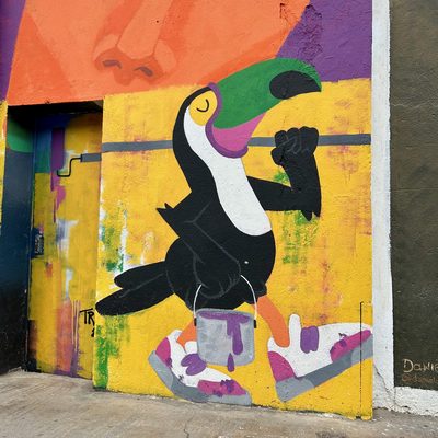 A black toucan painting a yellow wall, with a paint bucket and roller beneath it.