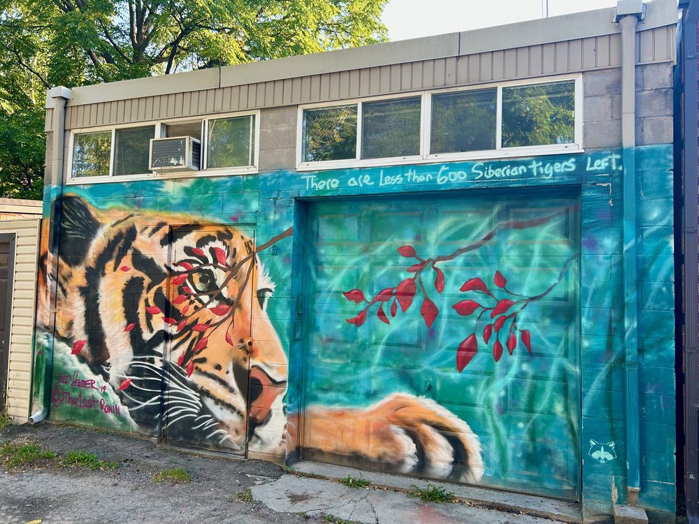 A Siberian tiger with red leaves across its face and the words "There are less than 600 Siberian tigers left.", painted on a garage.