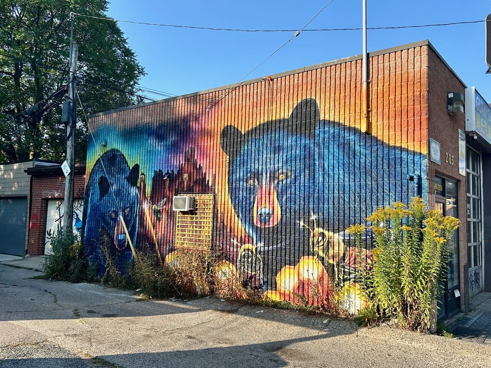 Two dark bears in a colourful forest scene, with a large bear face wrapping around the corner, painted on a brick wall.
