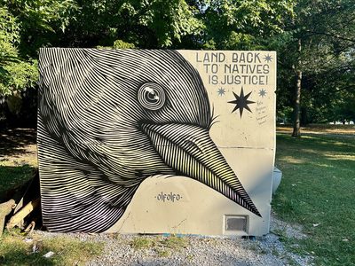 A black line-art bird head beside the words "Land back to natives is justice!" painted on a cream wall.