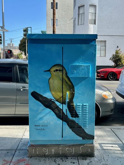 A yellow-green bird labelled "Orange Warbler" perched on a dark branch, painted on a blue utility box.