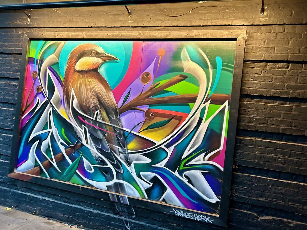 A brown bird on a branch surrounded by bright abstract graffiti shapes, painted within a framed wall mural.