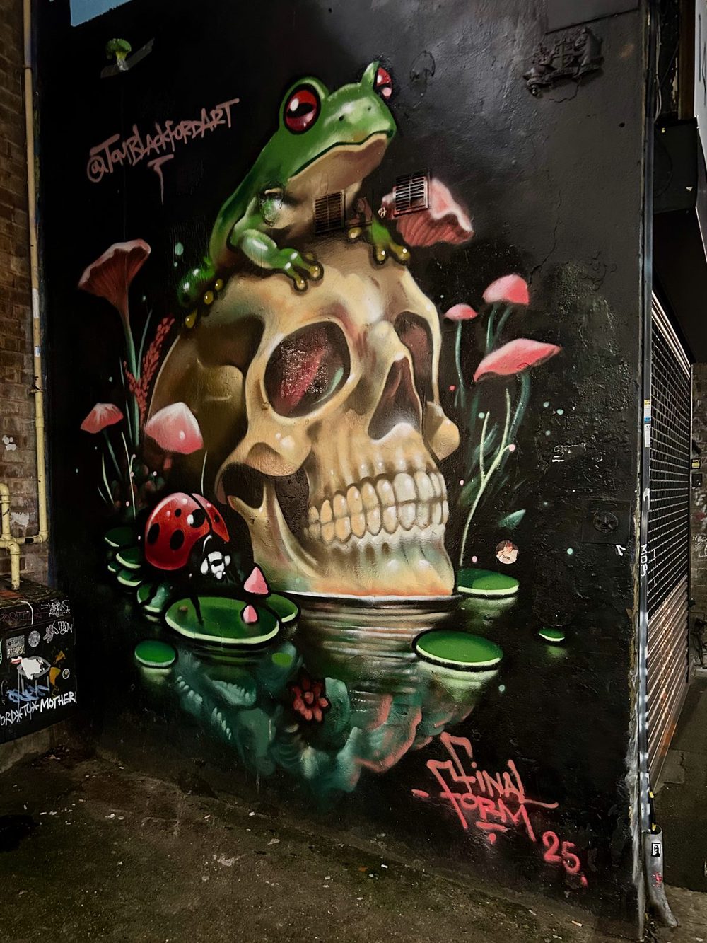 A green frog sitting on a skull, surrounded by pink mushrooms and a red ladybird, painted on a dark wall.